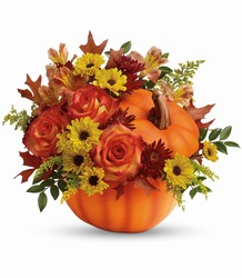 Teleflora's Warm Fall Wishes Bouquet from Swindler and Sons Florists in Wilmington, OH